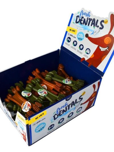 FRESH DENTALS CEPILLO 60g MIX SABOR CAJA