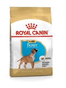 BHN BOXER PUPPY 12 KG