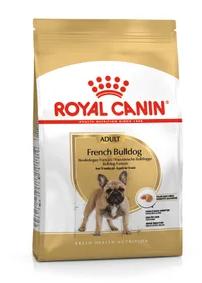 BHN BULLDOG FRANCES 3 KG