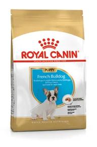 BHN BULLDOG FRANCES PUPPY 3 KG