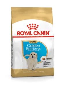 BHN GOLDEN RETRIEVER PUPPY 12 KG