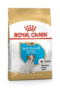 BNH JACK RUSSELL PUPPY 3 KG