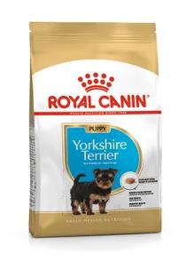 BNH YORKSHIRE PUPPY 500 GR