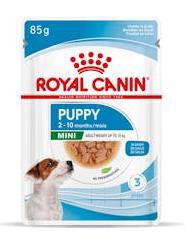 CHN MINI PUPPY 85*12  sobre 