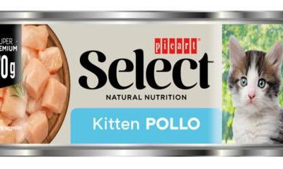 SELECT CAT LATA WET KITTEN pollo 70 GR 18
